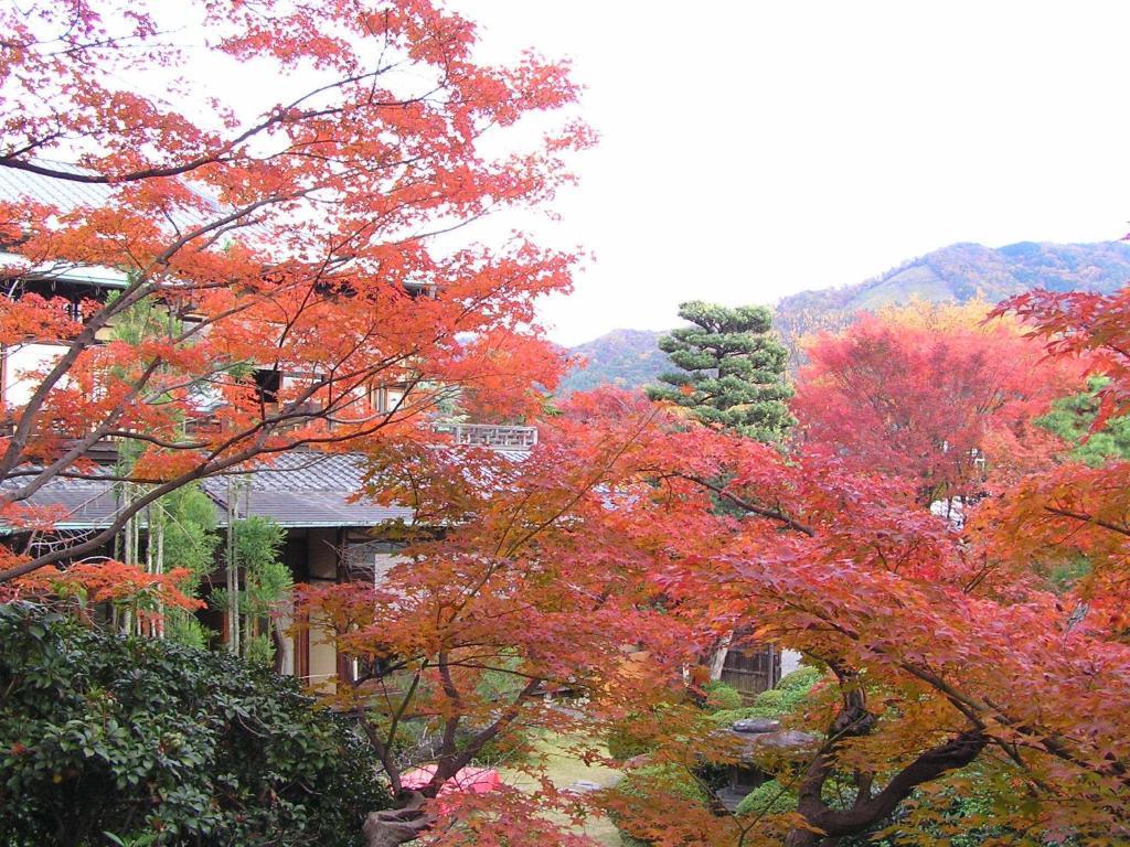 Ryokan Inn Yoshida-Sanso 京都 外观 照片