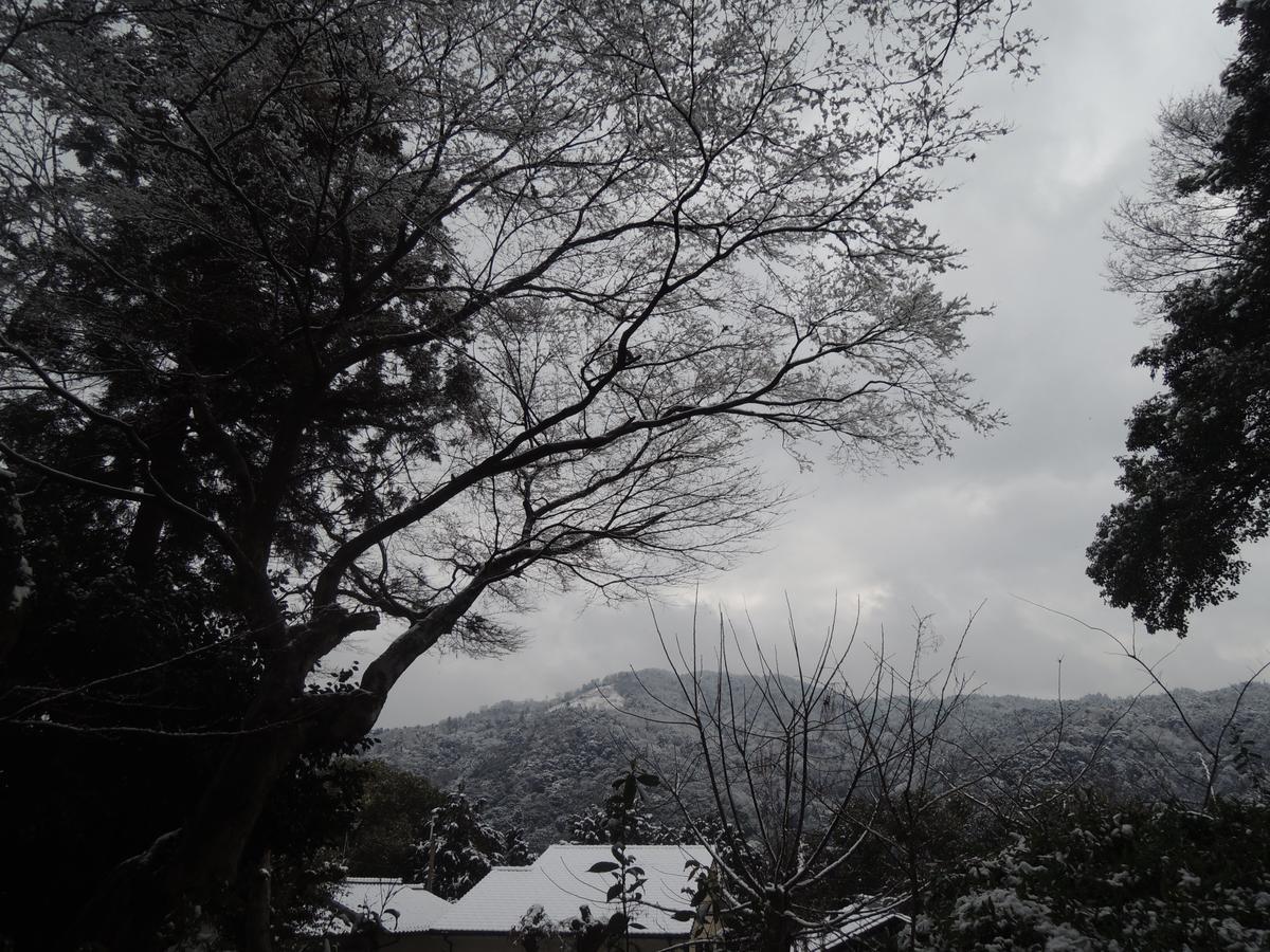 Ryokan Inn Yoshida-Sanso 京都 外观 照片